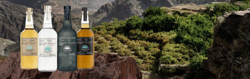 ForWhiskeyLovers Blog: Casamigos: A Complete Guide to Tequila’s Smoothest Brand