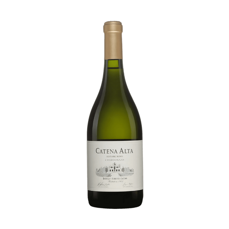 Catena Zapata 'Catena Alta' Chardonnay 2022 - ForWhiskeyLovers.com