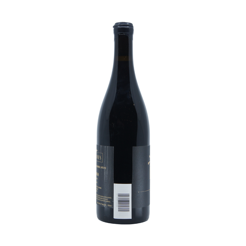 Fuil Syrah 2021 - ForWhiskeyLovers.com