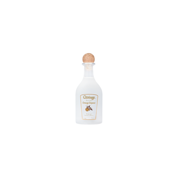 PATRÓN Citrónge Extra Fine Orange Liqueur 750ml - ForWhiskeyLovers.com