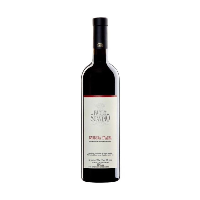 Paolo Scavino Barbera D'Alba 2021 - ForWhiskeyLovers.com