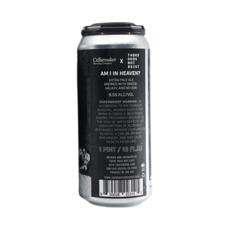 There Does Not Exist 'Dawn Keeper' Hazy Pale Ale Single Can - ForWhiskeyLovers.com